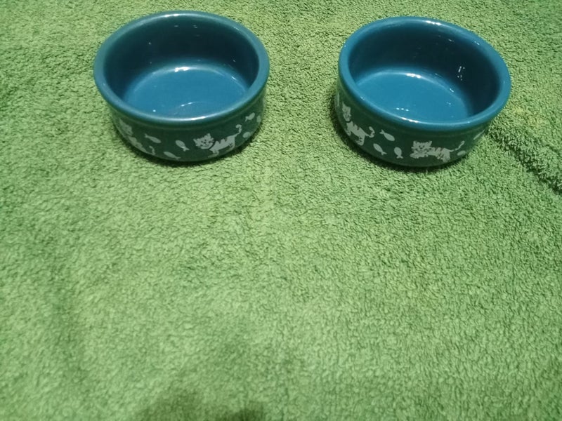 2 Cat Bowls Carousel 3