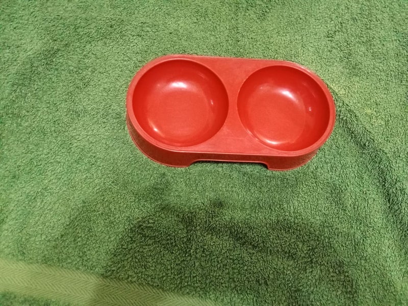 Cat Double Food Bowl Carousel 1