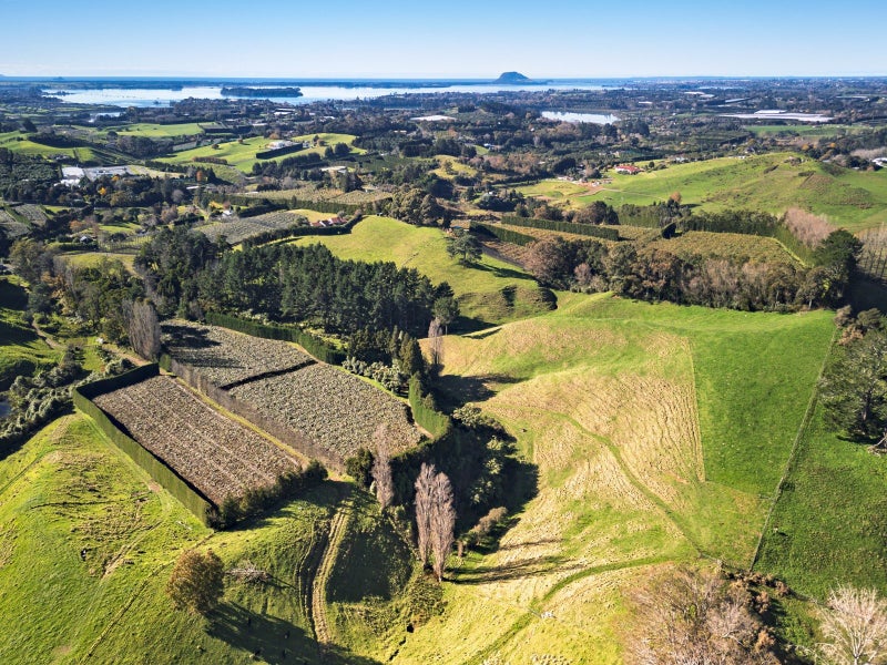 Image 1 of 24