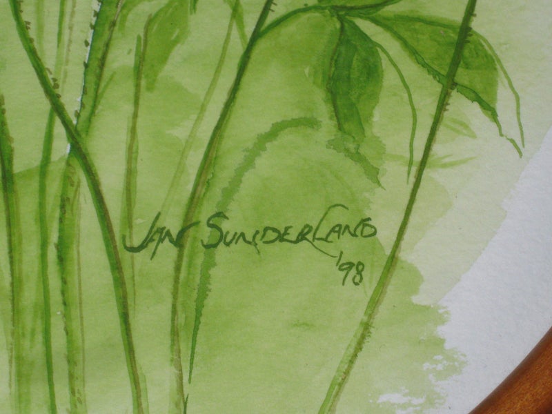 Jan Sunderland - Rose Flowers in a NZ Kauri Frame - original artwork62863858188674114