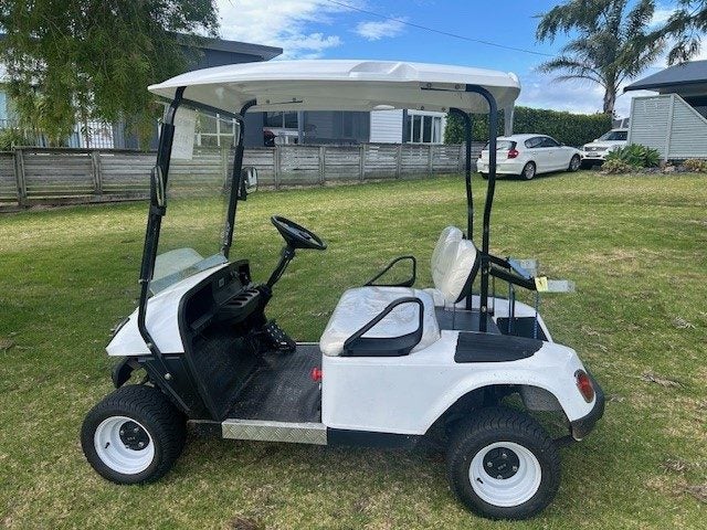 ELECTRIC GOLF CART62863863170818111