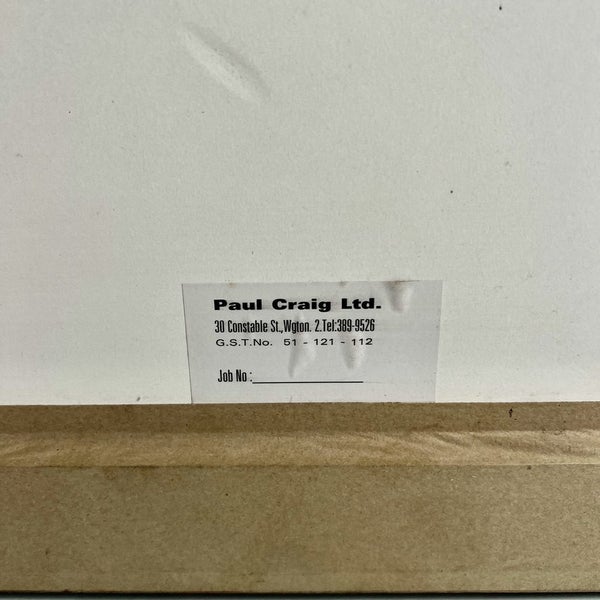 Original 1986 Screenprint by Ziraldo, VIII Festival Internacional Del Nuevo Cine Carousel 5