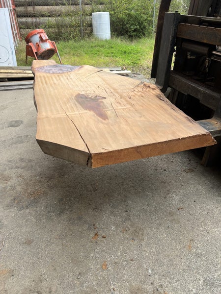 Ancient Swamp Kauri Slab – 2m Solid Wood, Kiln-Dried62864734940930112