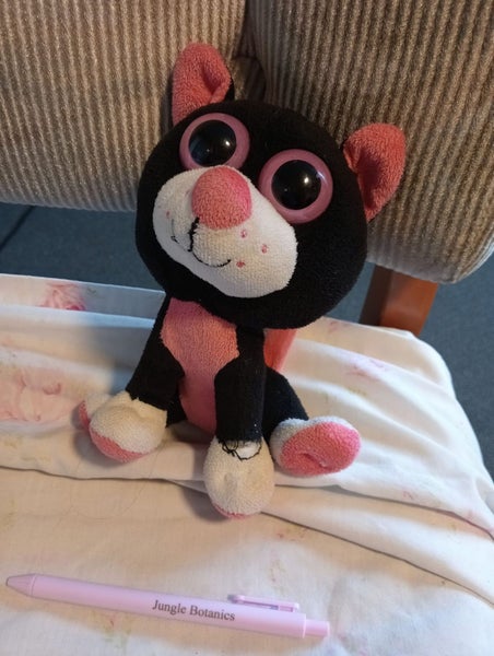Cat needs some love - looks like Postman Pat cat Carousel 1