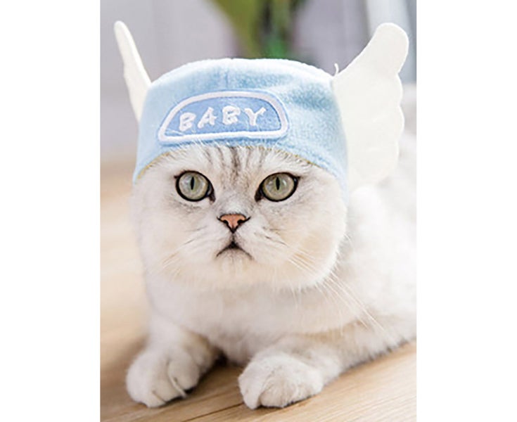 Pet Hat Light Weight Polyester Soft Comfortable Portable Cute Cat Cap for Cat Carousel 1