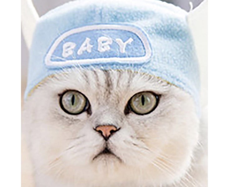 Pet Hat Light Weight Polyester Soft Comfortable Portable Cute Cat Cap for Cat Carousel 5