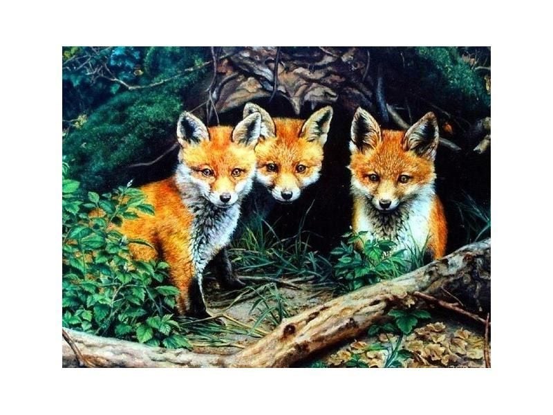 5D DIY Diamond Painting Fox Rhinestone Mosaic Animals Diamond Embroidery Carousel 1