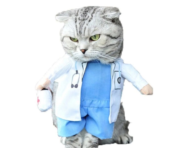 Pet clothes Dog doctor changing clothes Cat changing clothes (l) Carousel 1