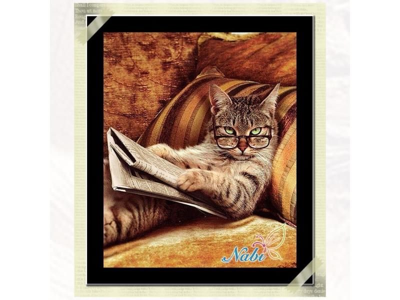 Diamant Painting Diamond Mosaic Cat Cross Stitch Crystal Diamond Set Unfinished Carousel 1