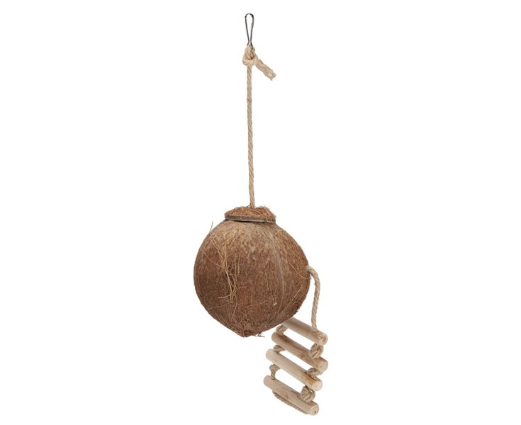 Parrots Hanging Natural Coconut House with Ladder Bird Hamster Cage Swing Nes Carousel 2