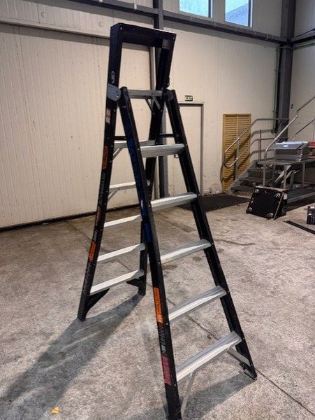 Gorilla Silverback 180kg Industrial Ladder Carousel 2