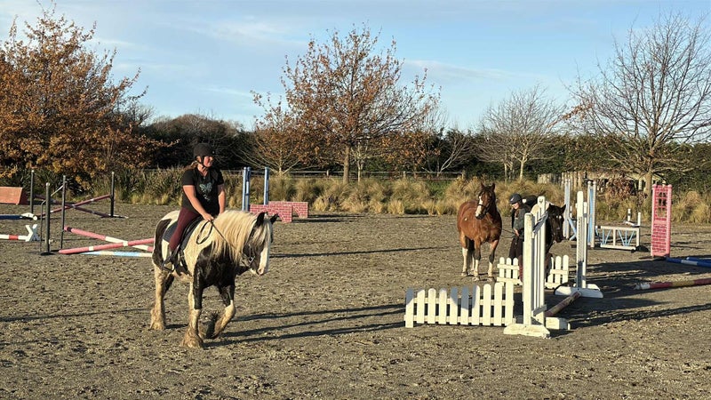 Big beautiful Purebred gypsy cob gelding62863873239682114