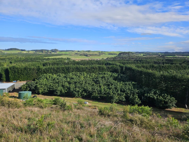 Image 1 of 24