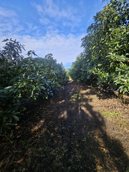 Image 3 of 24