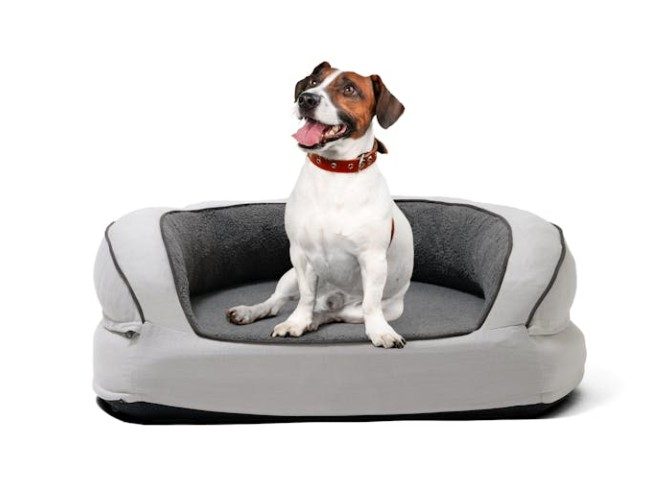 Fetch Orthopedic Memory Foam Sofa Dog Bed Medium Carousel 1