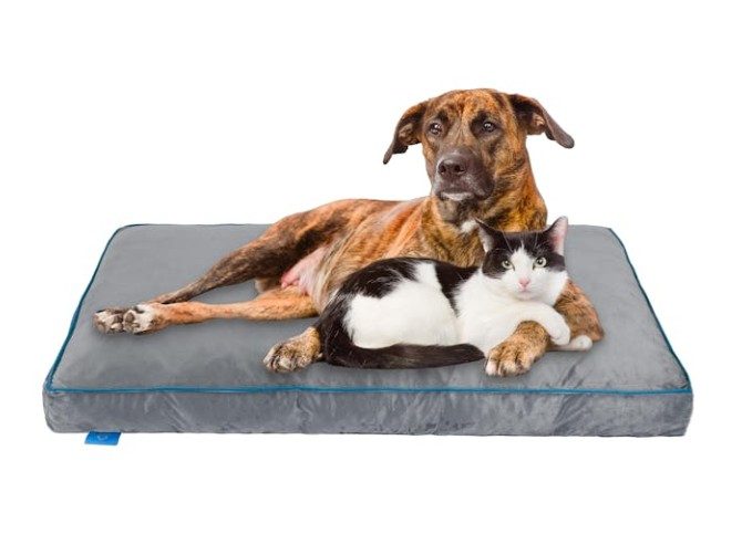 Fetch Orthopedic Memory Foam Dog Bed 12cm Thick X… Carousel 1