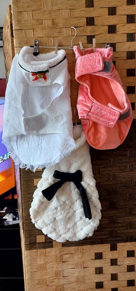Dog Clothes Carousel 1