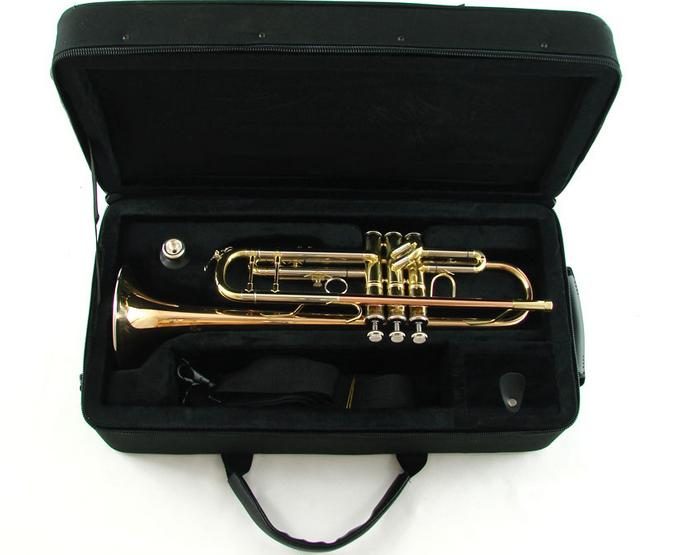 Hight Quality America Brand "Fever" Trumpet Carousel 1
