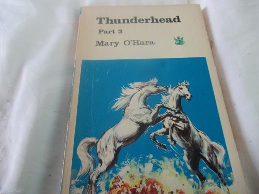 Thunderhead by Mary O'Hara Part 3 Carousel 1