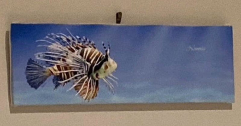 Small Noumea Fish Canvas Carousel 1