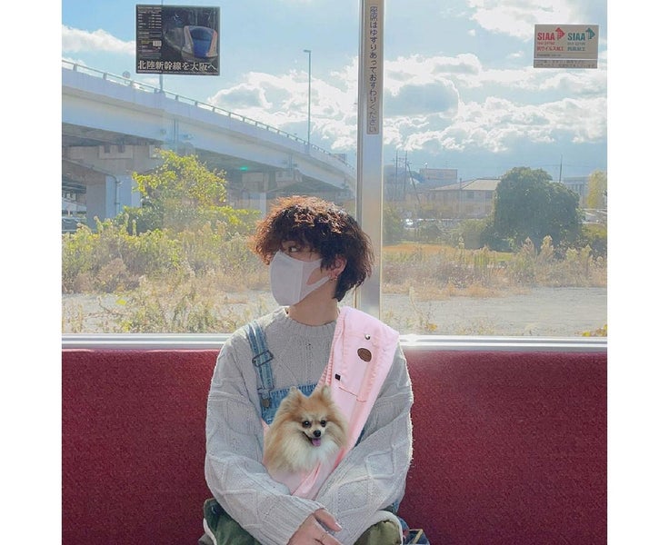 Pet Carrier Sleeping Bag Pet Carrier Bag Small Dog Cat Sling Accompany Carrie Carousel 5