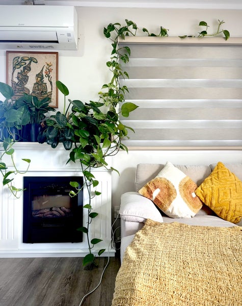 Avondale, 3 bedrooms64513485208194113