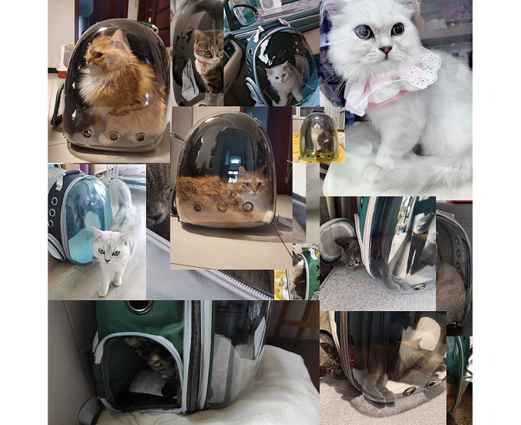 PETRIP Cat Backpack Carrier Space Capsule Pet Carrier Airline Approved Travel Carousel 7