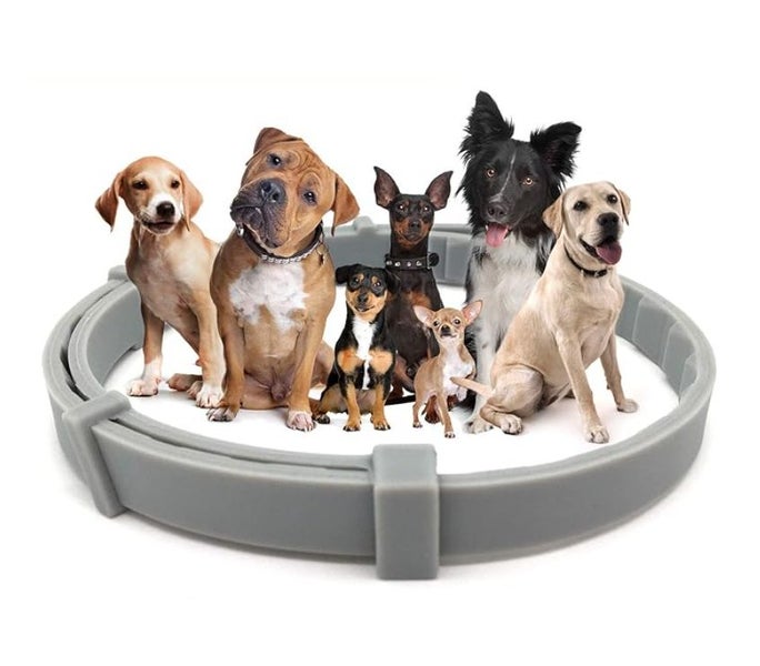 Dog Flea and Tick Repellent Collar Carousel 1