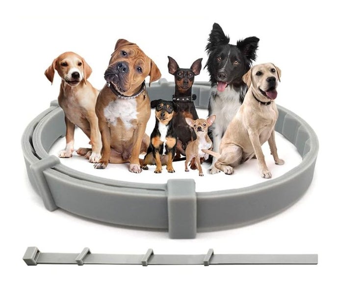 Dog Flea and Tick Repellent Collar Carousel 2