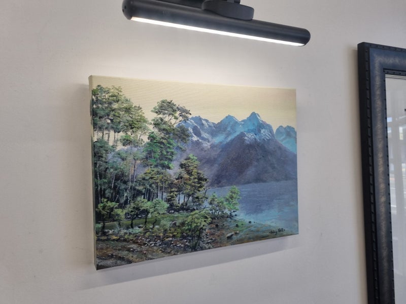 Green Beech Trees In Fiordland - Caley Hall Fine Art Original Oil Painting Carousel 2