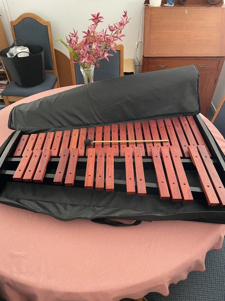 XYLOPHONE/ MARIMBA Carousel 1