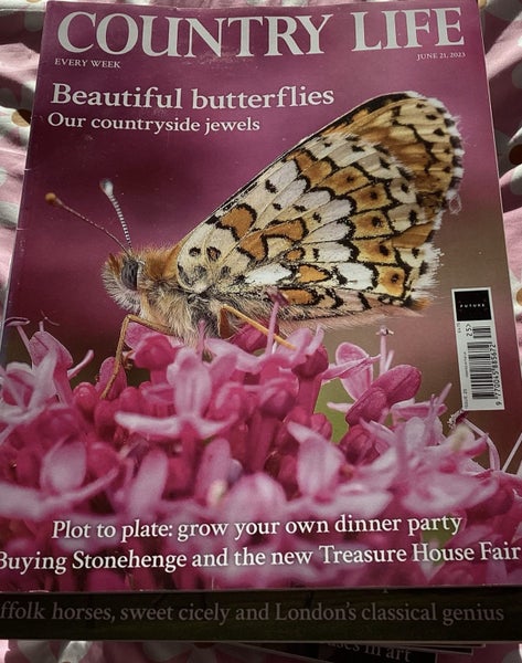 English Country life, four bundles of 6 months each, weekly editions62939541799425113