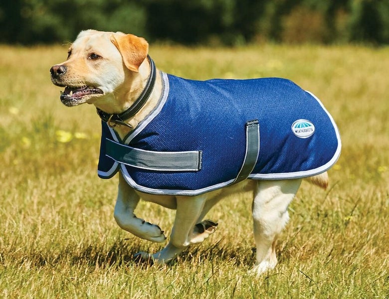 WeatherBeeta Weatherbeeta ComFiTec Parka 1200D Dog Coat Carousel 2