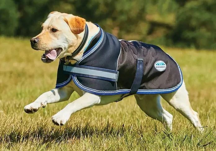 WeatherBeeta Weatherbeeta Parka 1680D Dog Coat Carousel 2