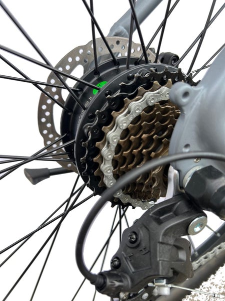 Special! Electric Mountain Bike - 29", 27 Speeds, Aluminum, 48V Motor,10Ah, Grey Carousel 17