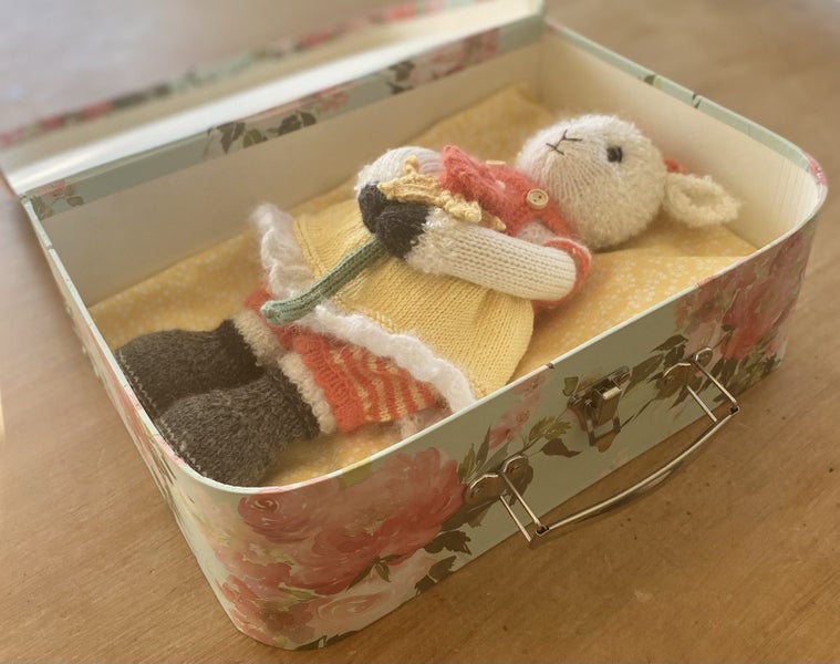 Daisy the lamb , all proceeds to Cancer Society62935702635010112