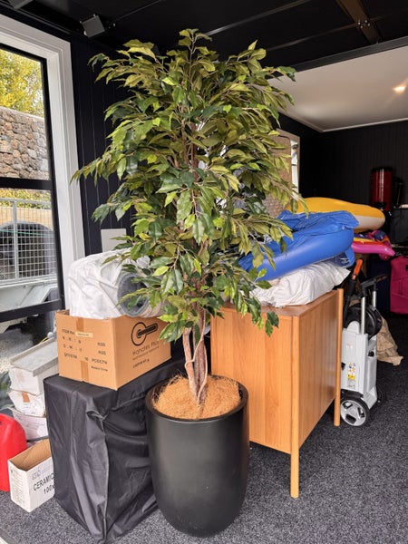 Ficus Tree Artificial in Pot629327252418591123