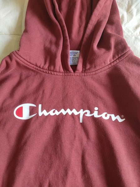 Champion boys 14y rust hoody logo sweatshirt Carousel 1