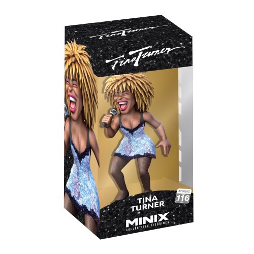 Collectible Figurine - MINIX TINA TURNER Carousel 2