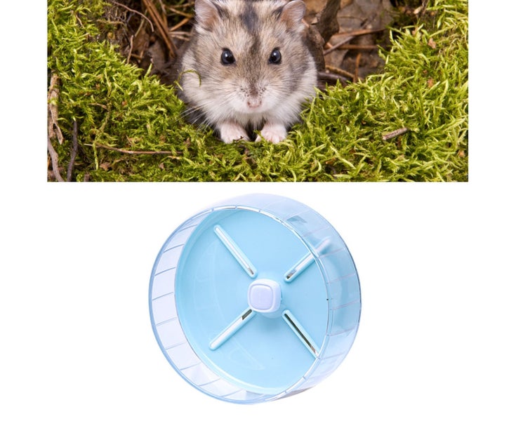 26cm/10.2in Blue Hamster Exercise Running Wheel Silent Hamster Wheel Toys for Carousel 2