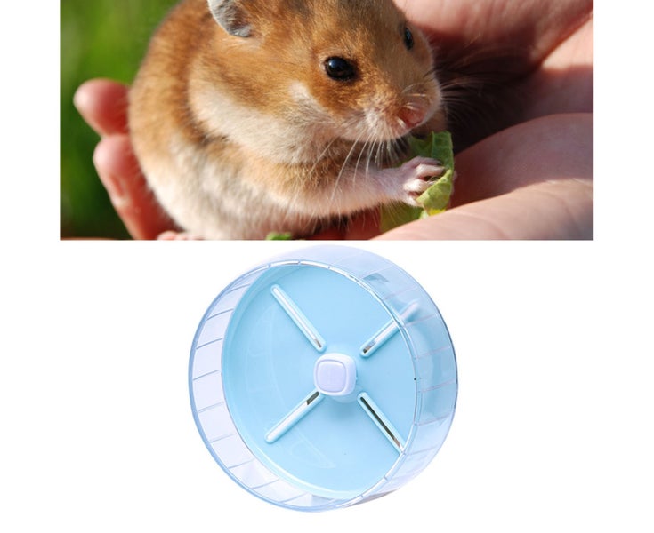 26cm/10.2in Blue Hamster Exercise Running Wheel Silent Hamster Wheel Toys for Carousel 5