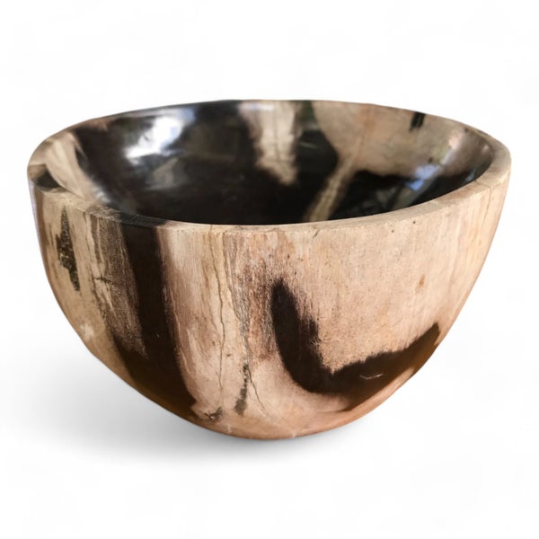 $1 RESERVE PETRIFIED WOOD STONE BOWL LTD EDITION DECOR 160mm x 160mm WAS $250 Carousel 1