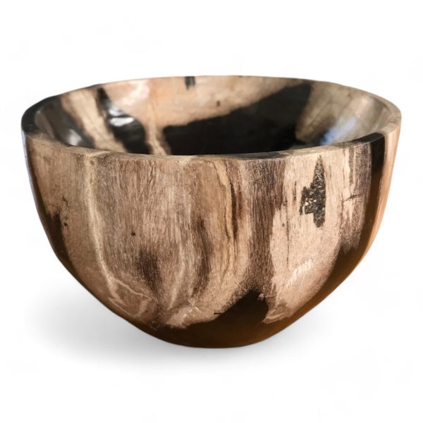 $1 RESERVE PETRIFIED WOOD STONE BOWL LTD EDITION DECOR 160mm x 160mm WAS $250 Carousel 2