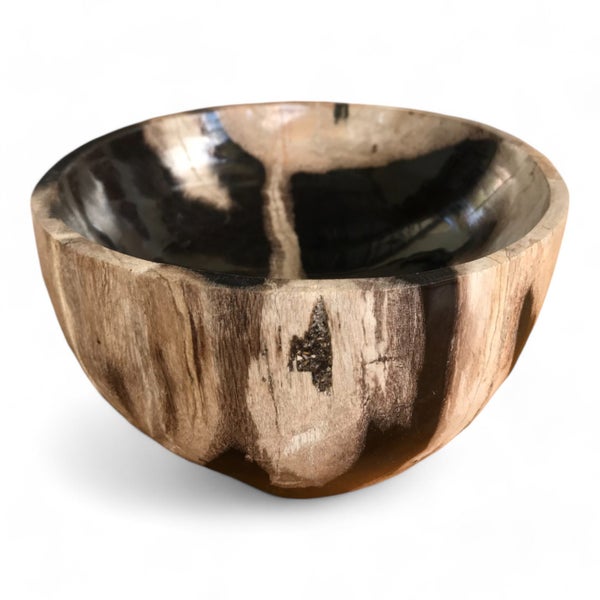 $1 RESERVE PETRIFIED WOOD STONE BOWL LTD EDITION DECOR 160mm x 160mm WAS $250 Carousel 6