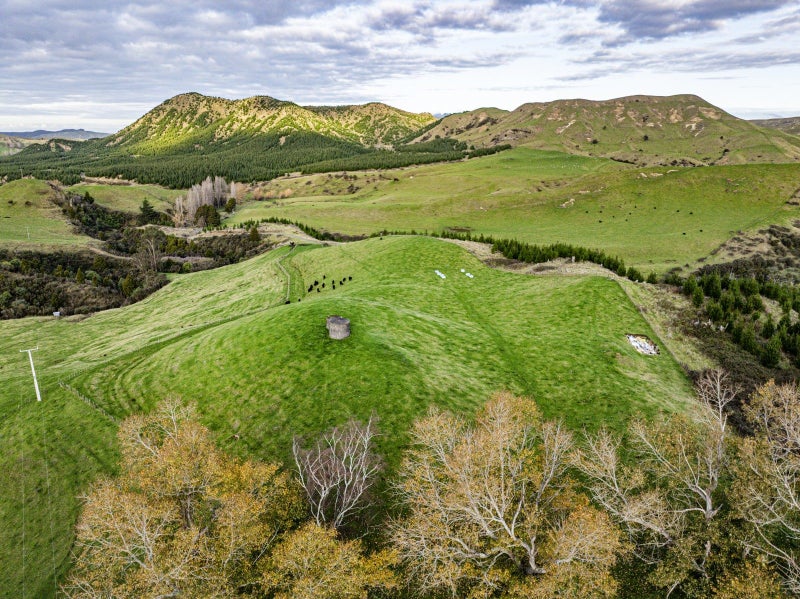 Image 1 of 26