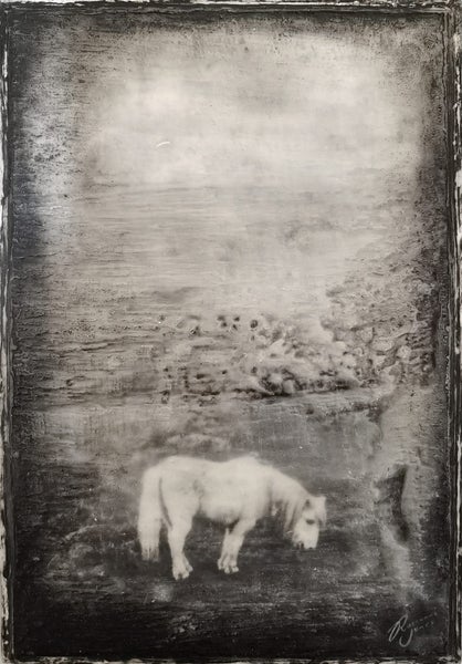 Shetland Pony - Original Mixed Media by Roseanne Jones Carousel 1