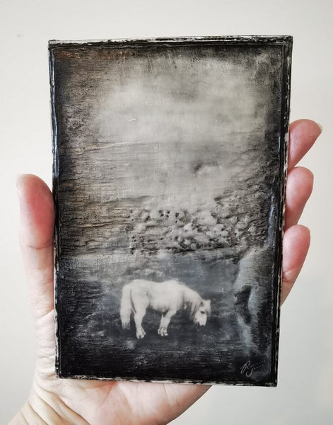 Shetland Pony - Original Mixed Media by Roseanne Jones Carousel 2