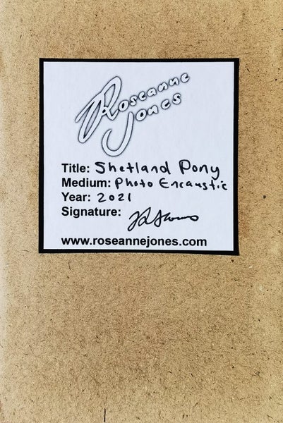 Shetland Pony - Original Mixed Media by Roseanne Jones Carousel 6