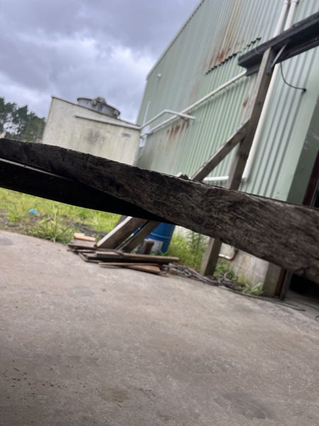 Beautiful Puriri Timber Slab – Rare NZ Native Hardwood (210 × 50/48 × 5.5 cm)62931719496323111