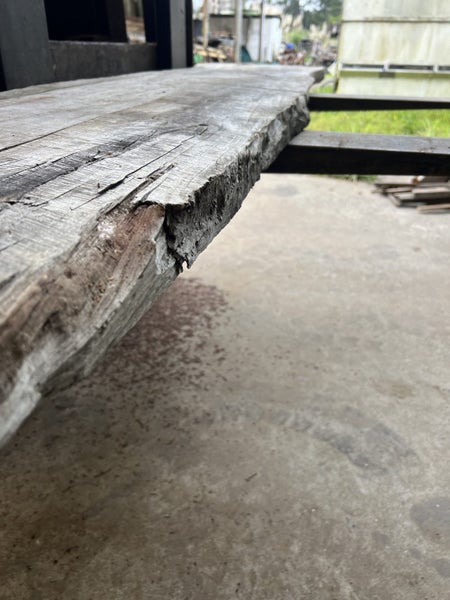 Beautiful Puriri Timber Slab – Rare NZ Native Hardwood (210 × 50/48 × 5.5 cm)62931719496323112
